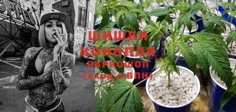 Бошки марихуана SATIVA & INDICA  Кирс 